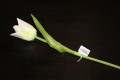 Цветы искусственные 500-03 тюльпан  36см.Арт. 677